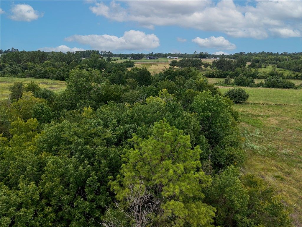 TBD FM 2819, Anderson, TX 77830 — photo 5