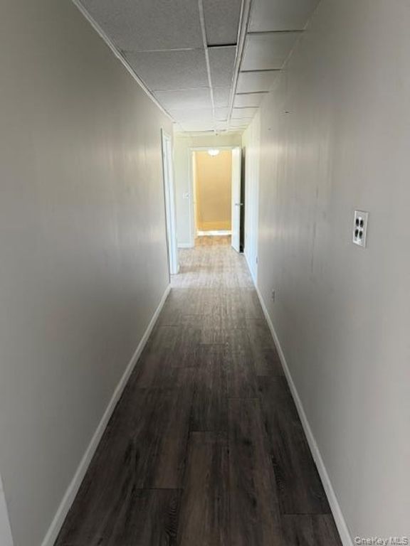 117 W Sunrise Highway 2FL, Freeport, NY 11520 — photo 4