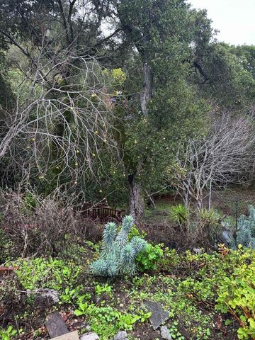 25 Via Delizia, Hillsborough, CA 94010