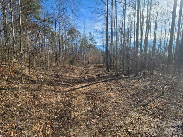 0 Smith Waldrop Road, Columbus, NC 28722