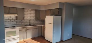 102 Lake Avenue S 4, Spicer, MN 56288