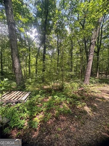 6394 Shore Drive, Douglasville, GA 30135