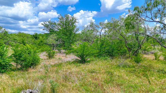Lot 123 Palmito Ranch Road, Corsicana, TX 75110