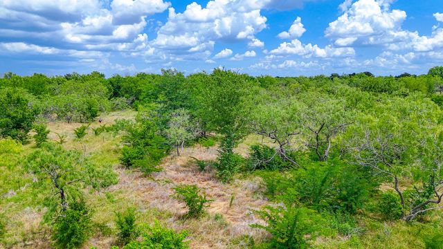 Lot 123 Palmito Ranch Road, Corsicana, TX 75110