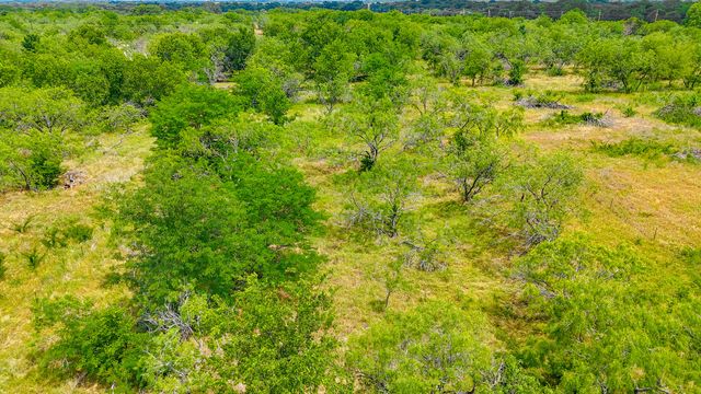 Lot 123 Palmito Ranch Road, Corsicana, TX 75110