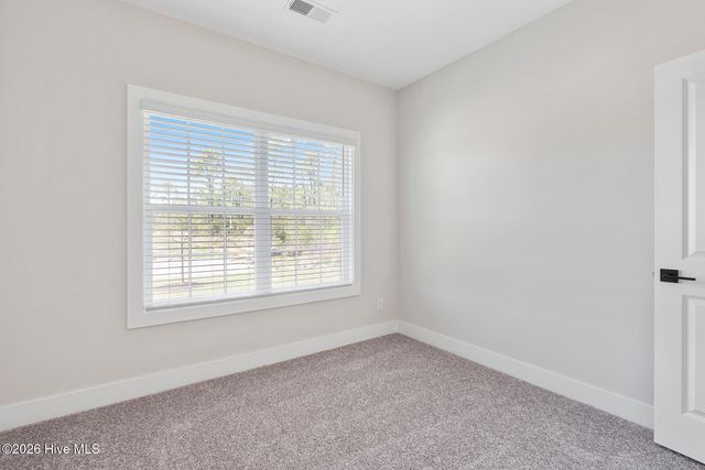 136 Commons View Drive, Hampstead, NC 28443