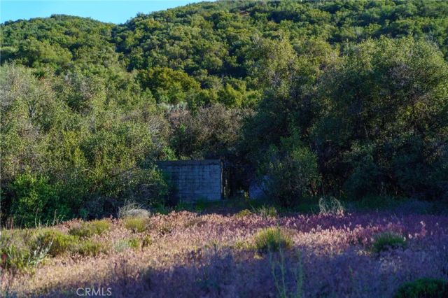 60861 Burnt Valley Road, Anza, CA 92539