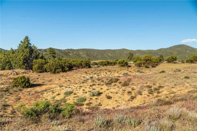 60861 Burnt Valley Road, Anza, CA 92539