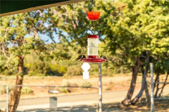 60861 Burnt Valley Road, Anza, CA 92539