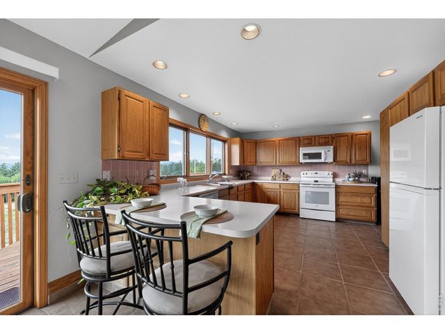 1502 Bald Mountain Dr, Livermore, CO 80536