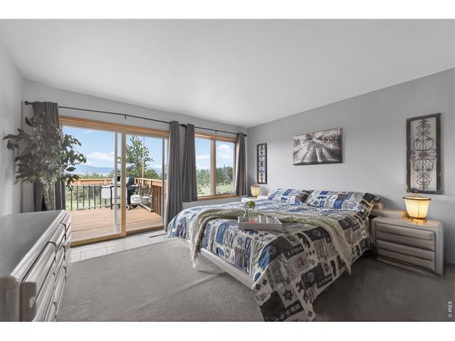 1502 Bald Mountain Dr, Livermore, CO 80536