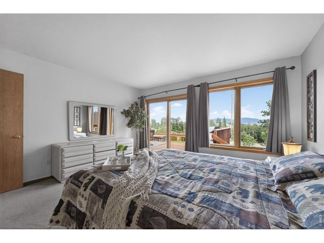 1502 Bald Mountain Dr, Livermore, CO 80536