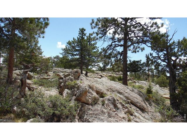 1502 Bald Mountain Dr, Livermore, CO 80536