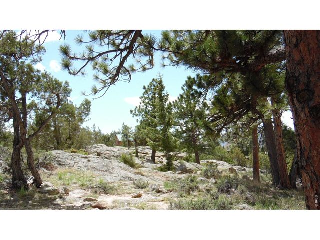 1502 Bald Mountain Dr, Livermore, CO 80536