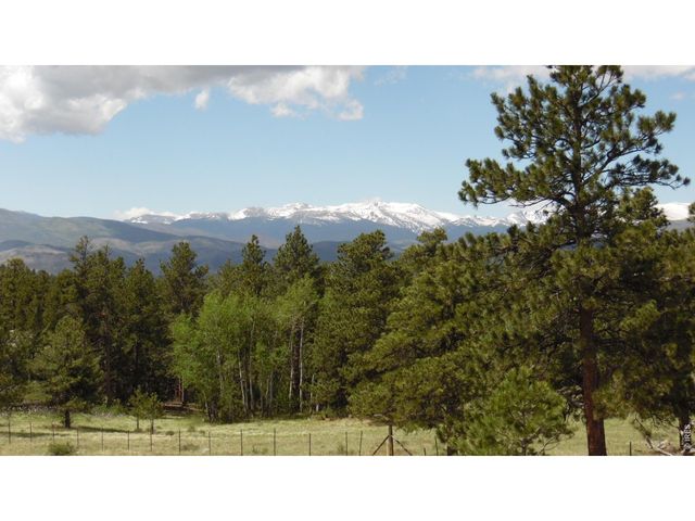 1502 Bald Mountain Dr, Livermore, CO 80536