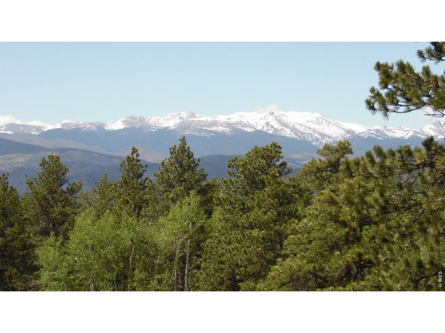 1502 Bald Mountain Dr, Livermore, CO 80536