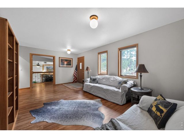 1502 Bald Mountain Dr, Livermore, CO 80536