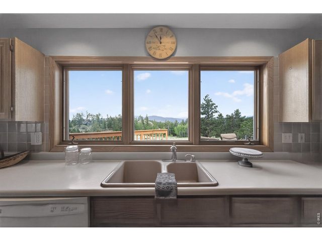 1502 Bald Mountain Dr, Livermore, CO 80536