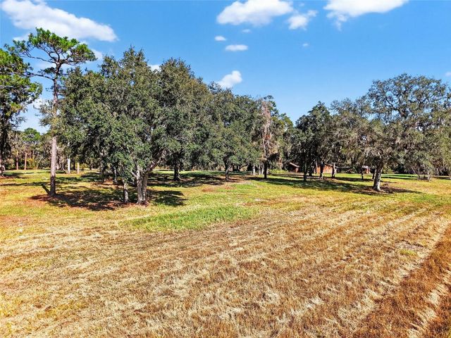 11469 SW 49TH PLAZA, Webster, FL 33597