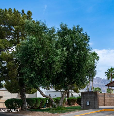 991 OXIDE Drive, Apache Junction, AZ 85119