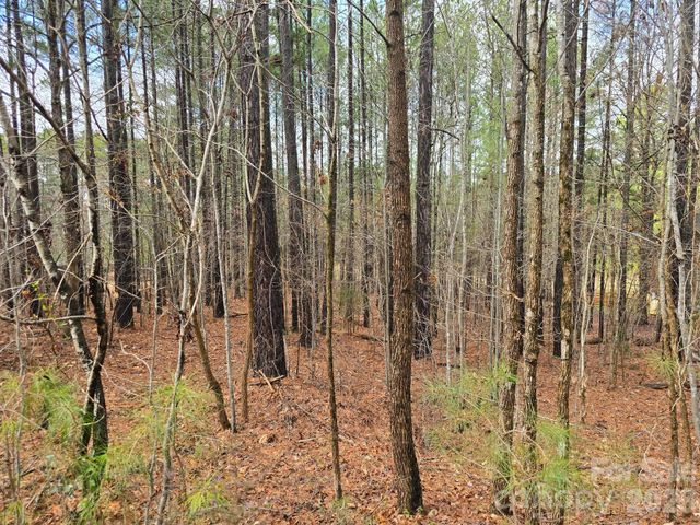 225 Cove Wood Drive, Denton, NC 27239