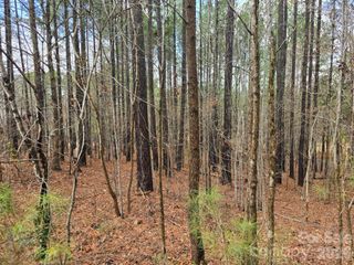 225 Cove Wood Drive, Denton, NC 27239