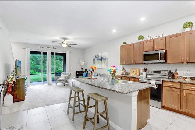 32934 KALOKO ROAD, Wesley Chapel, FL 33543