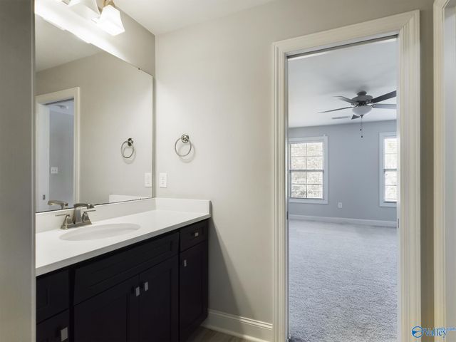 235 Mill Walk Court, Madison, AL 35758