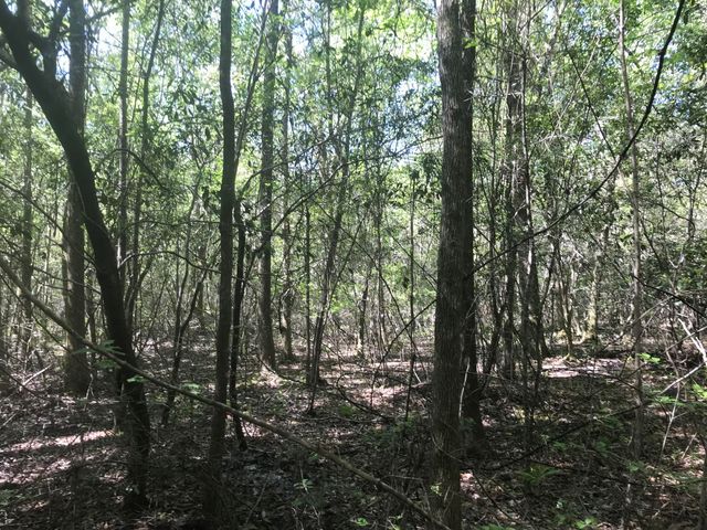 013 Thomas Richard Ln., Hattiesburg, MS 39401