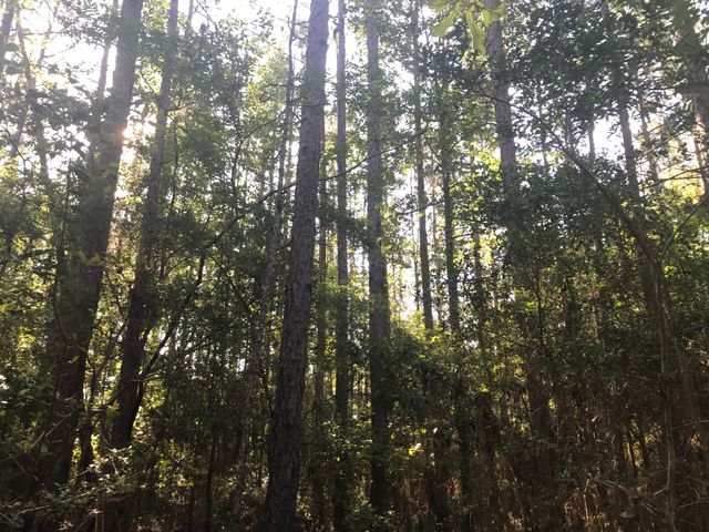 013 Thomas Richard Ln., Hattiesburg, MS 39401