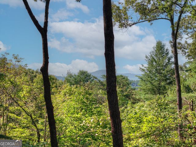 330 Seneca Drive, Ellijay, GA 30540