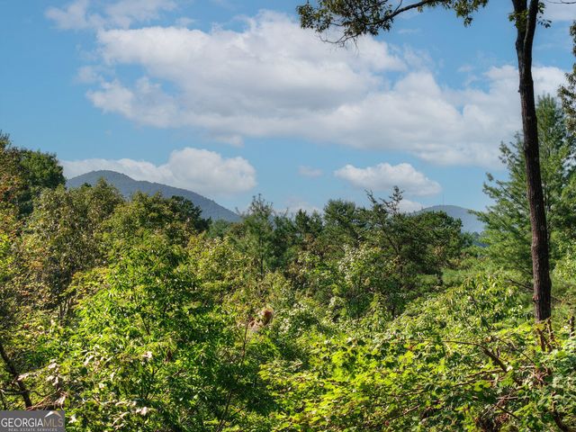 330 Seneca Drive, Ellijay, GA 30540