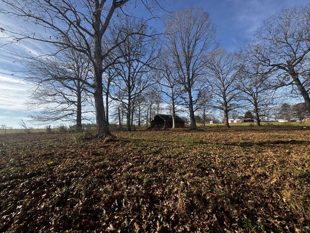 2921 Blanton Chapel Rd, Manchester, TN 37355