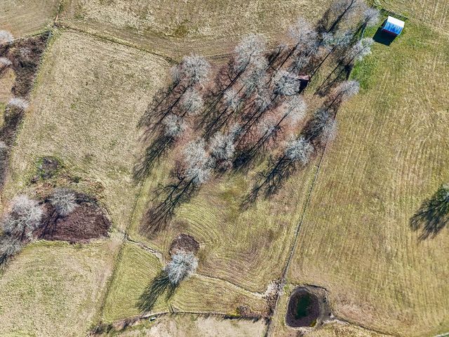 2921 Blanton Chapel Rd, Manchester, TN 37355