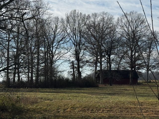 2921 Blanton Chapel Rd, Manchester, TN 37355