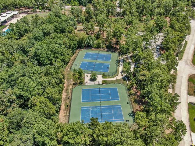 251 Garden Rose Trail, Willis, TX 77318