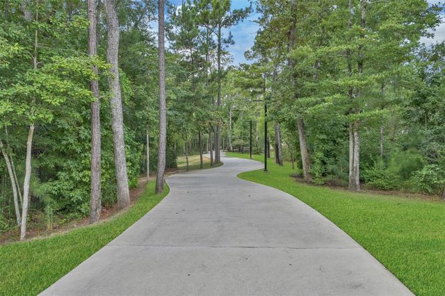 251 Garden Rose Trail, Willis, TX 77318