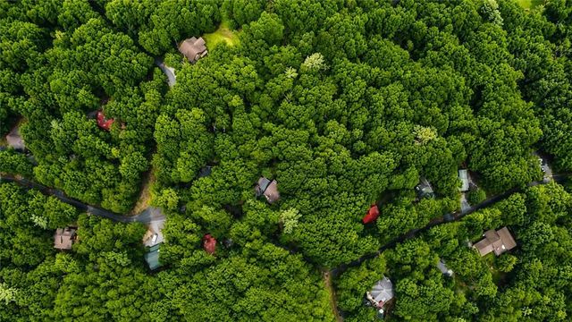 J208 Pine Ridge Road, Ellijay, GA 30536