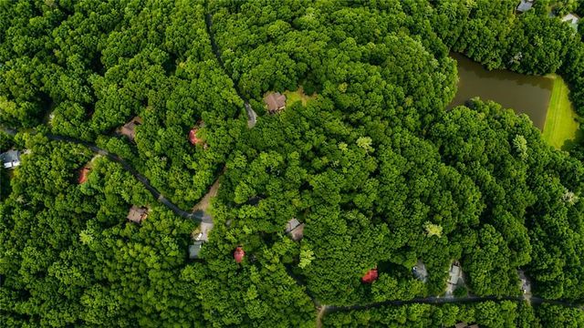 J208 Pine Ridge Road, Ellijay, GA 30536