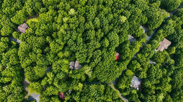 J208 Pine Ridge Road, Ellijay, GA 30536