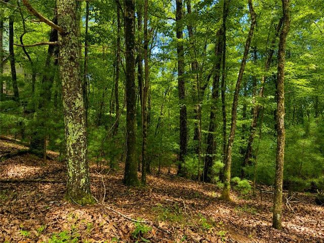 J208 Pine Ridge Road, Ellijay, GA 30536