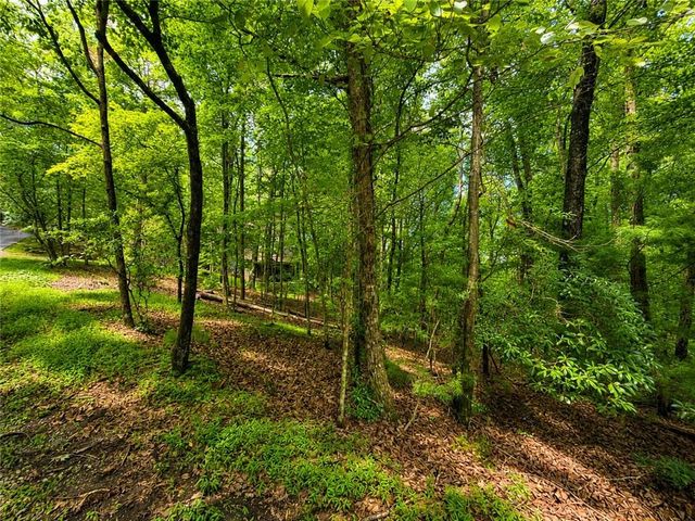 J208 Pine Ridge Road, Ellijay, GA 30536