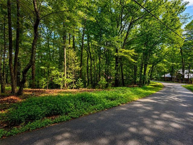 J208 Pine Ridge Road, Ellijay, GA 30536