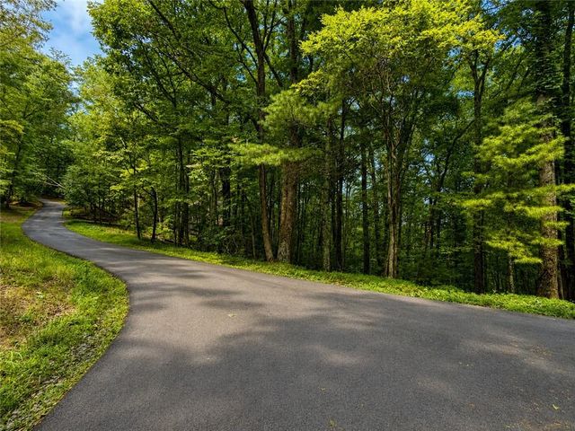 J208 Pine Ridge Road, Ellijay, GA 30536