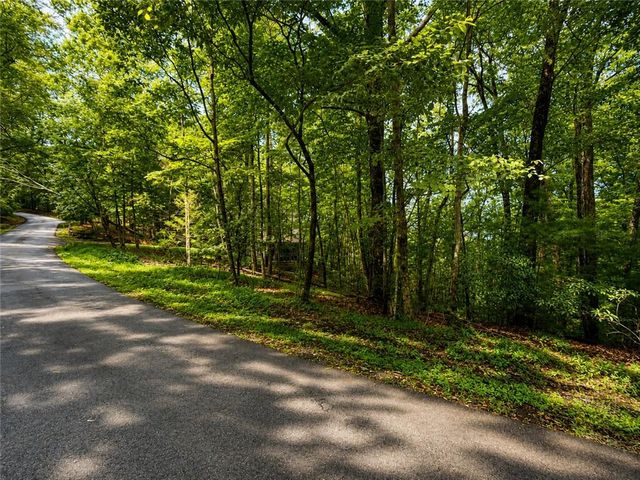 J208 Pine Ridge Road, Ellijay, GA 30536