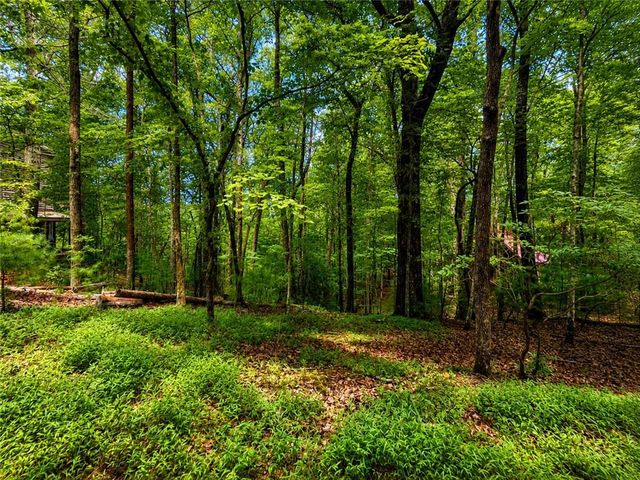J208 Pine Ridge Road, Ellijay, GA 30536