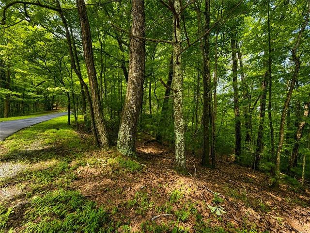 J208 Pine Ridge Road, Ellijay, GA 30536