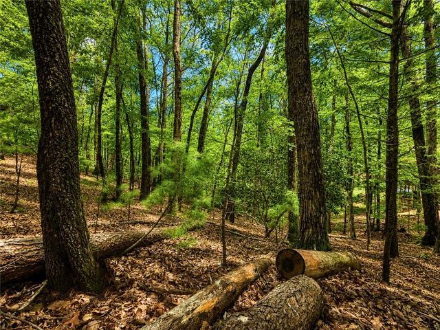 J208 Pine Ridge Road, Ellijay, GA 30536
