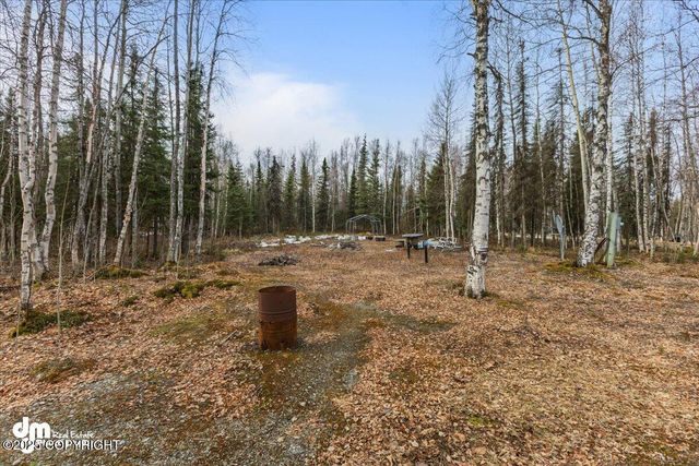 13811 N Willow Drive, Willow, AK 99688