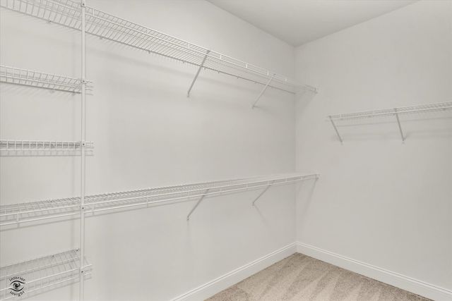 8028 BRADLEY Drive, Tinley Park, IL 60487